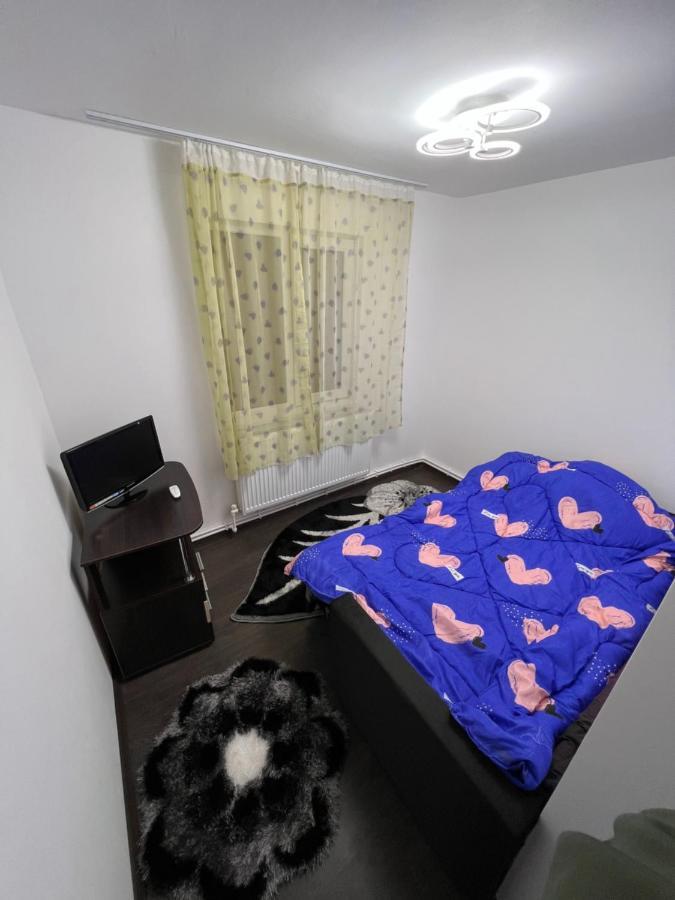 Апартаменты Jas Apartament Lupeni  Экстерьер фото